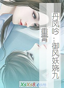 《丹凤吟:御风妖娆九重霄》小说封面