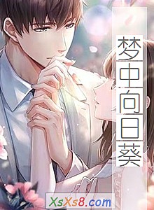 《梦中向日葵》小说封面