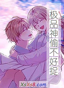 《极品神偷不好捉》小说封面