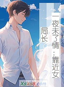 《一夜未了情:靠近女局长》小说封面