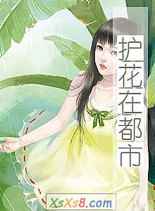 《护花在都市》小说封面