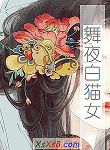 《舞夜白猫女》小说封面