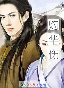 《灼华伤》小说封面