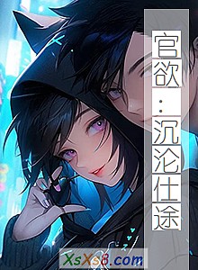 《官欲:沉沦仕途》小说封面