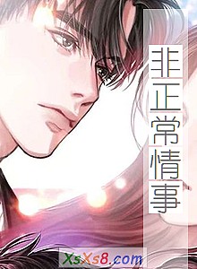 《非正常情事》小说封面