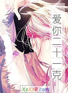 《爱你二十一克》小说封面