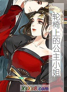 《轮椅上的公主小姐》小说封面