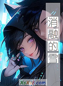 《消融的雪》小说封面