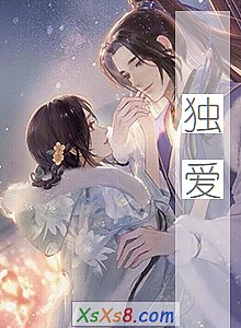 《独爱》小说封面