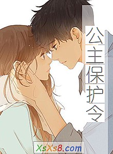 《公主保护令》小说封面