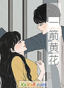 《一箭黄花》小说封面