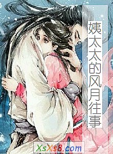 《姨太太的风月往事》小说封面