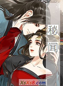 《秘闻》小说封面