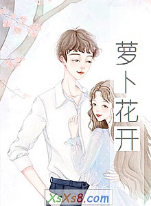 《萝卜花开》小说封面