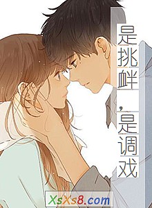 《是挑衅,是调戏》小说封面