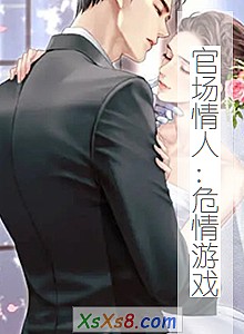 《官场情人:危情游戏》小说封面