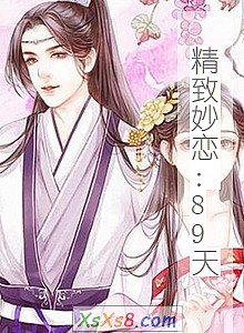 《精致妙恋:89天》小说封面