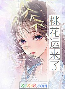 《桃花运来了》小说封面