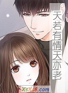 《天若有情天亦老》小说封面