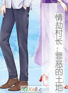 《情劫村长:罪恶的土地》小说封面