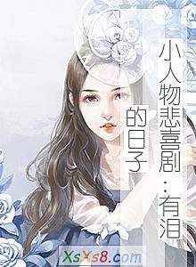 ��С���ﱯϲ�磺��������ӡ�С˵����