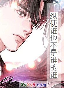 《纵使谁也不是谁的谁》小说封面
