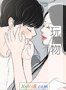 《玩物》小说封面