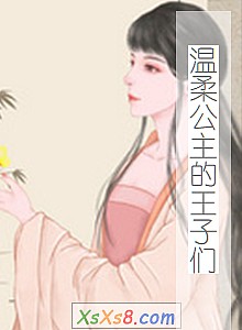 《温柔公主的王子们》小说封面