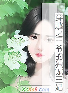 《穿越之王爷的独宠王妃》小说封面