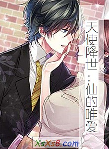 《天使降世:仙的唯爱》小说封面