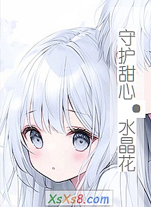 《守护甜心·水晶花》小说封面