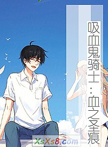 《吸血鬼骑士:血之圣痕》小说封面