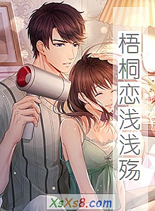 《梧桐恋浅浅殇》小说封面