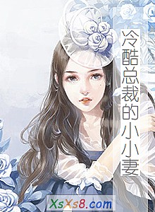 《冷酷总裁的小小妻》小说封面