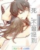 《死,不曾提到》小说封面