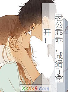 《老公乖乖,咸猪手拿开!》小说封面