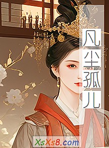 《凡尘孤儿》小说封面