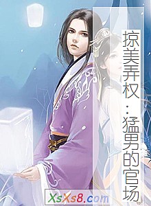 《掠美弄权:猛男的官场》小说封面