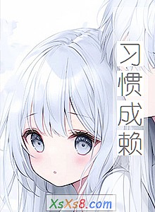 《习惯成赖》小说封面