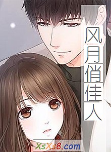 《风月俏佳人》小说封面