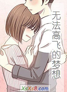 《无法高飞的梦想》小说封面