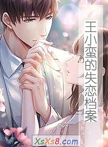 《王小蛮的失恋档案》小说封面