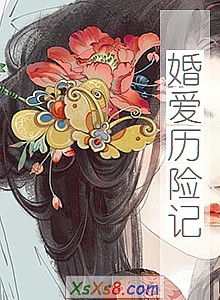 《婚爱历险记》小说封面