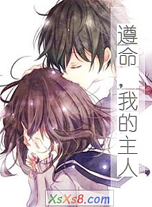 《遵命,我的主人》小说封面