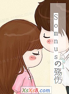 《Somnusの殇伤》小说封面