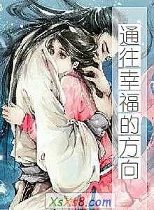 《通往幸福的方向》小说封面