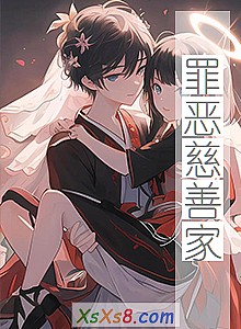 《罪恶慈善家》小说封面