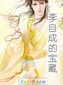 《李自成的宝藏》小说封面