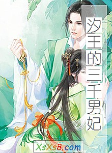 《汐王的三千男妃》小说封面