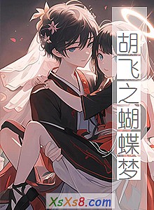 《胡飞之蝴蝶梦》小说封面